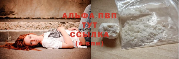 стаф Нефтегорск
