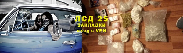 стаф Нефтегорск