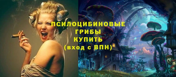 стаф Нефтегорск