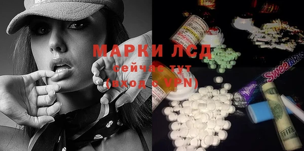 стаф Нефтегорск