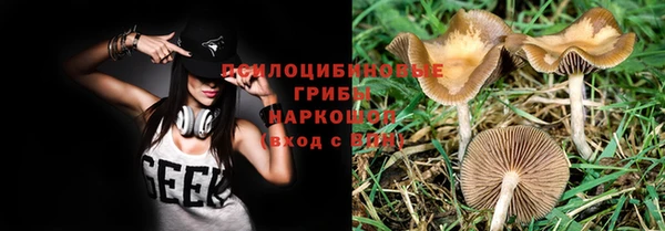apvp Нея