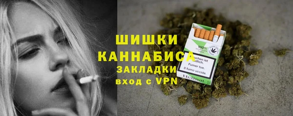 стаф Нефтегорск