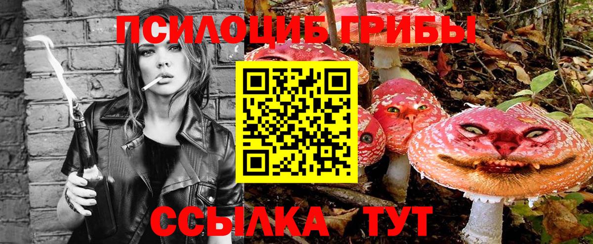 Семилуки  Галлюциногенные грибы Psilocybine cubensis  Вход с VPN 
