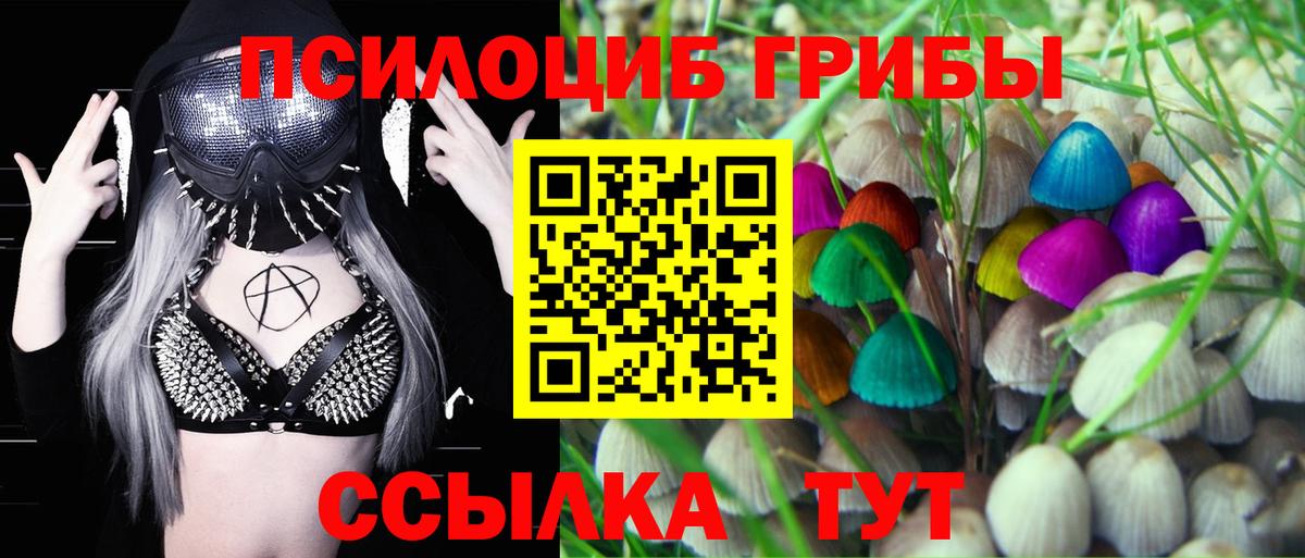 Псилоцибиновые грибы мицелий  Семилуки 